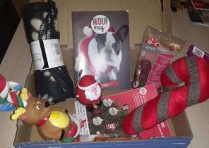 Coffret cadeau noel pour chien