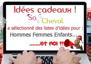 Cadeau de noel cheval