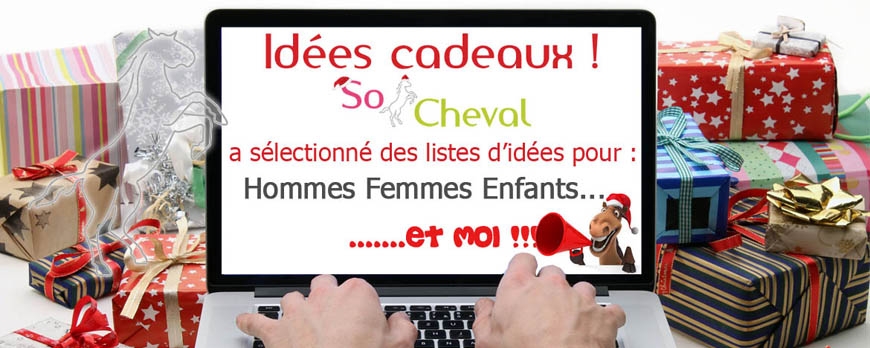 Cadeau de noel cheval