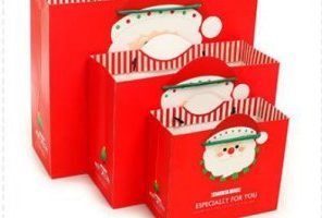 Pochette cadeau fdj noel 2016