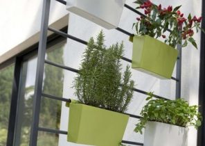 Cadeau de noel mur vegetal