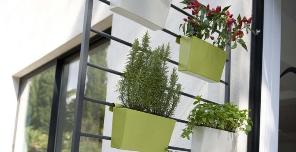 Cadeau de noel mur vegetal