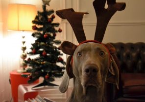 Idée cadeau noel running
