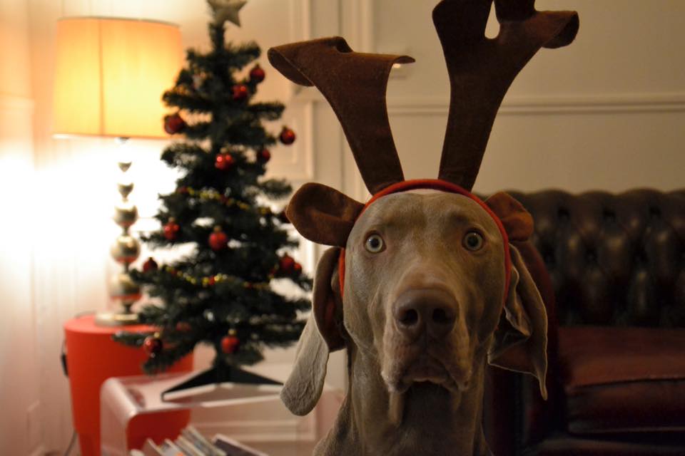 Idée cadeau noel running