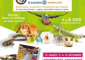 Leclerc promo cadeau noel