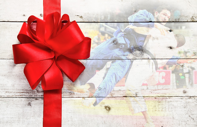 Cadeau judo noel