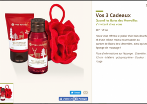 Cadeau surprise yves rocher noel