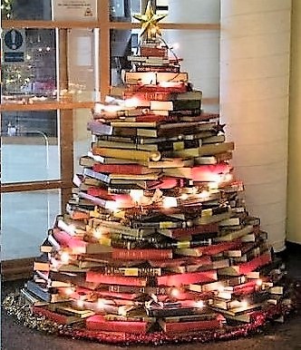 Beau livre cadeau noel