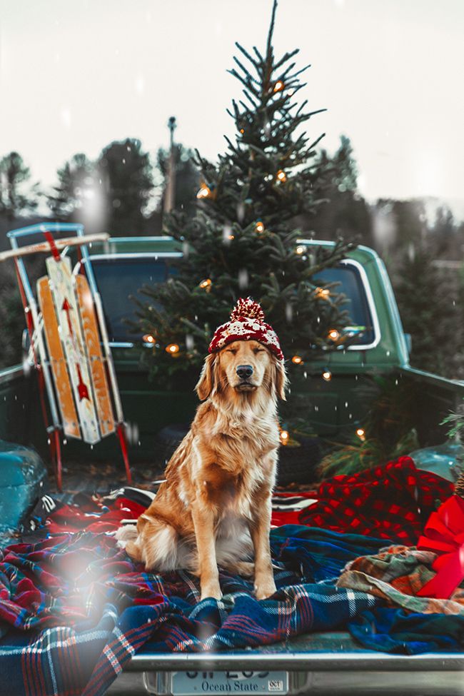 Cadeau noel we heart it