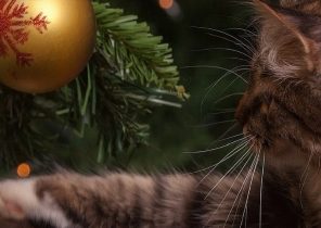 Cadeau de noel non materiel