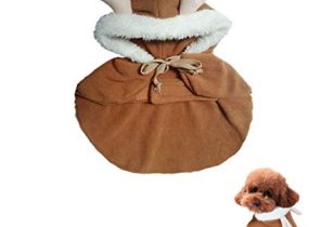 Cadeau de noel pour petit chien