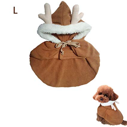 Cadeau de noel pour petit chien