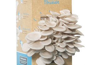 Idee cadeau noel femme 65 ans