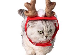 Cadeau noel pour chat