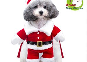 Cadeau de noel pour chien pas cher