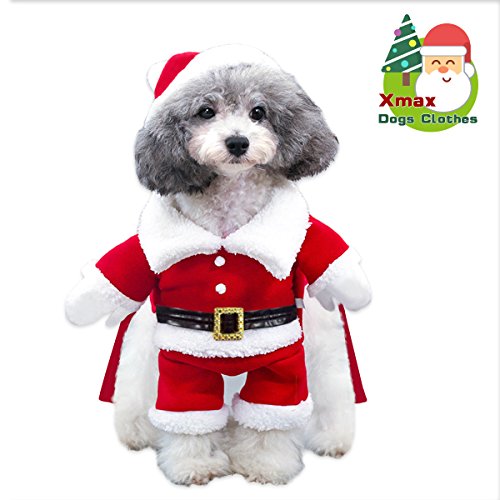 Cadeau de noel pour chien pas cher