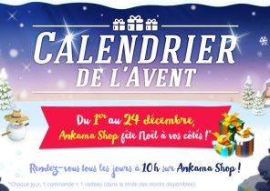 Dofus cadeau noel