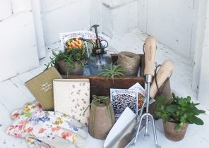 Se faire un cadeau de noel