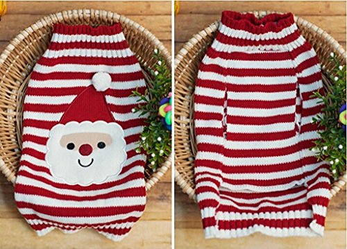 Cadeau noel petit chien