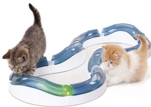 Idée cadeau de noel pour chat