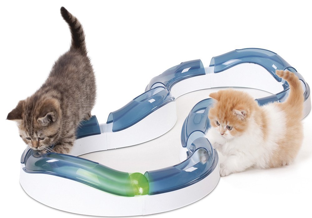 Idée cadeau de noel pour chat