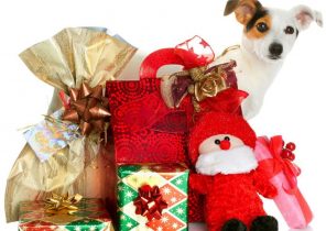 Cadeau noel animaux