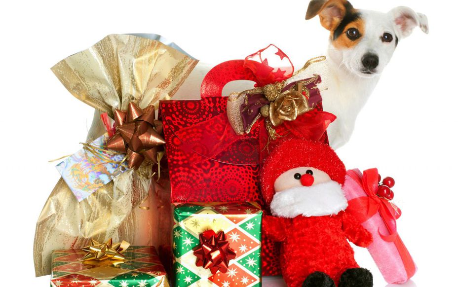 Cadeau noel animaux