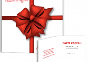 Noel bon cadeau esthétique