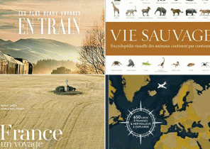 Idee cadeau noel voyage