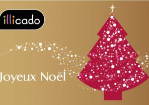 Groupon cadeau de noel
