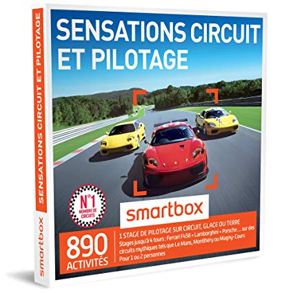 Cadeau noel stage pilotage