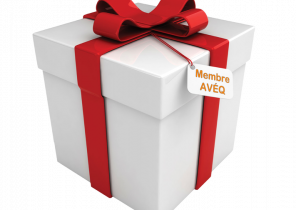 Gros cadeau de noël