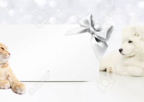 Cadeau noel theme chat