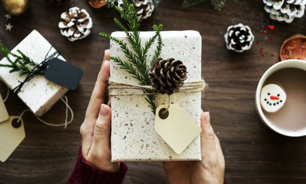 Offre cadeau de noel