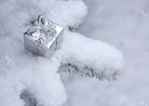 Cadeau noel argenté
