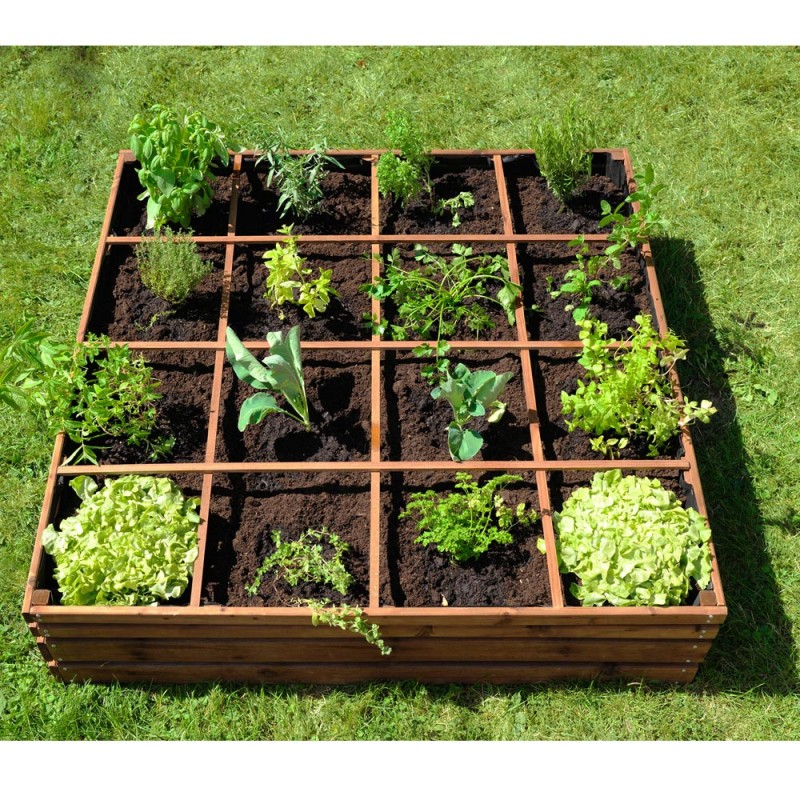 Cadeau noel potager