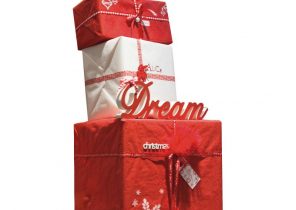Decoration cadeau de noel