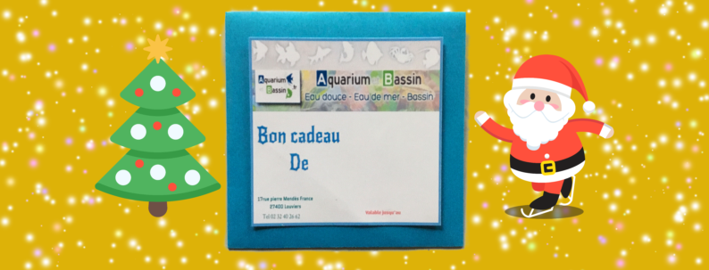 Montant cadeau de noel