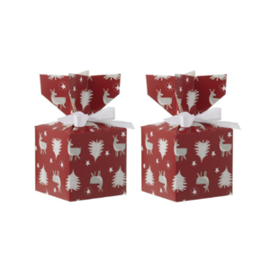 Boite cadeau noel png