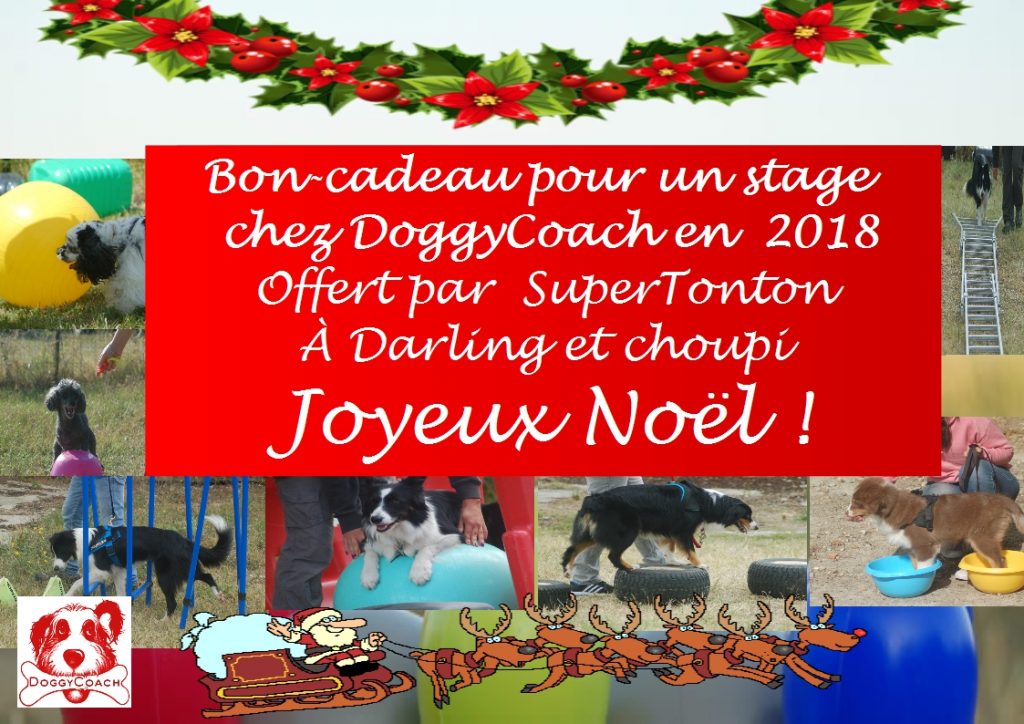 Stage cadeau noel