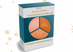 Cadeau noel adecco
