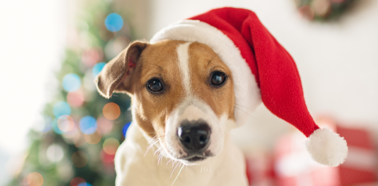 Idée de cadeau pour noel fille de 12 ans
