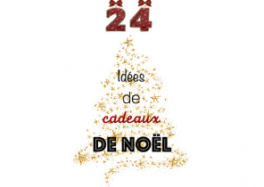 Budget cadeau noel 2015