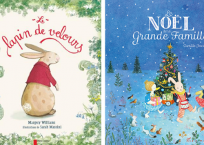 Livre cadeau pour noel