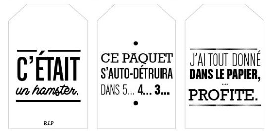 Etiquette cadeau noel rigolote