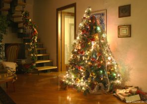 Cadeau de noel sous le sapin