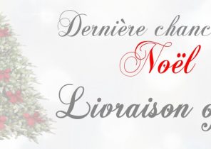 Idée cadeau livré avant noel