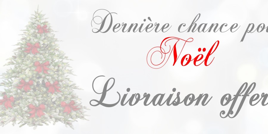 Idée cadeau livré avant noel
