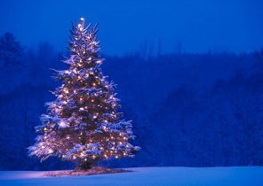Cadeau de noël séjours