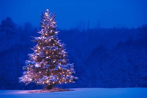 Cadeau de noël séjours